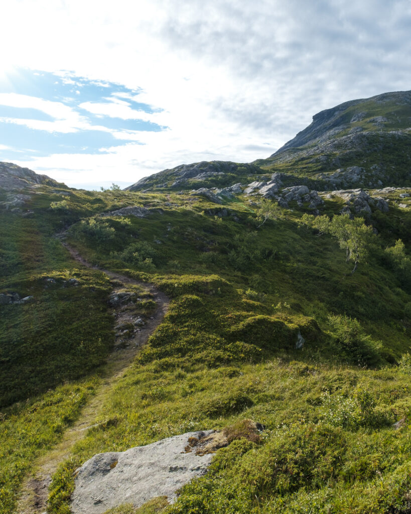 Stien opp til Lurøyfjellet