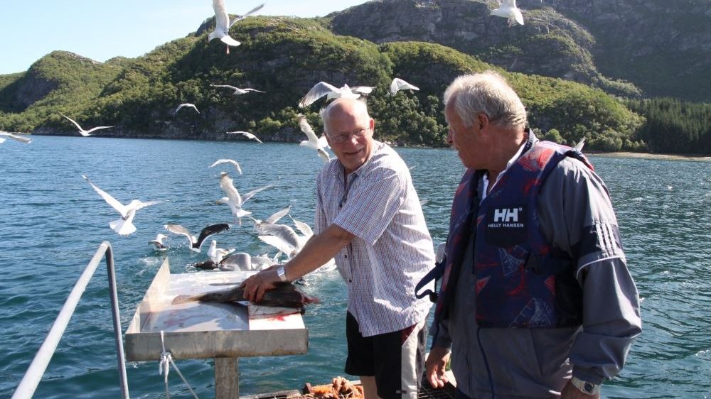 To gamle venner sløyer fisk og prater på bryggekanten en sommerdag med måkene i kamp om fiskeslo i havet utfor brygga med hav og fjell i bakgrunnen