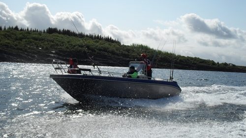 Aluminium fiskebåt i full fart en sommerdag på sjøen