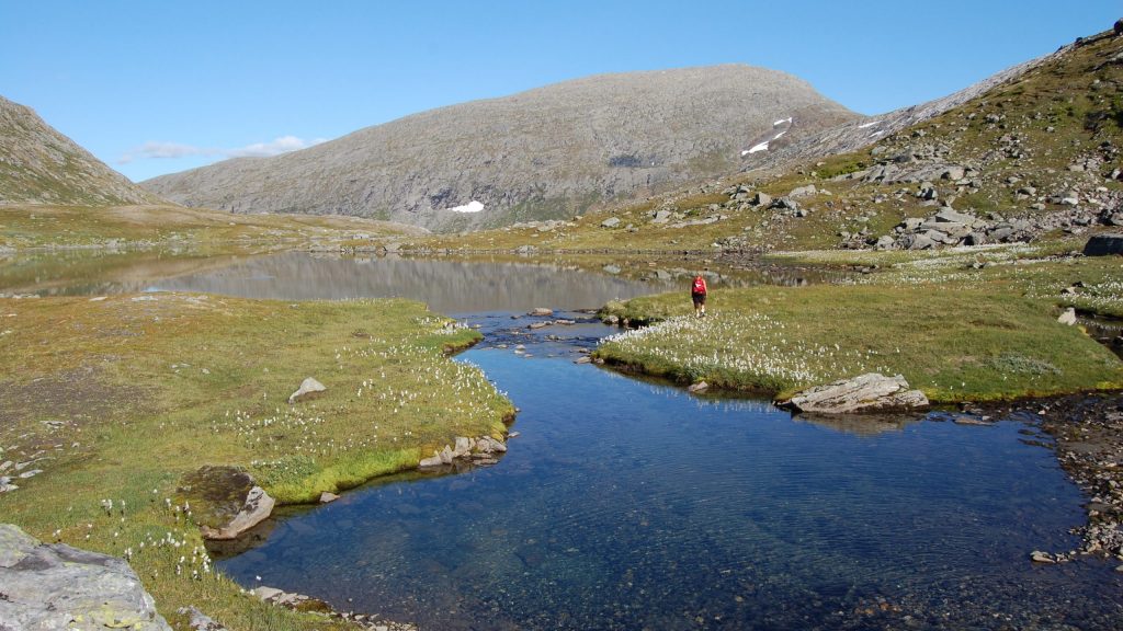 Stavassdalen-2008-87 Stavassdalen