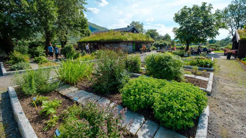 Urtehagen på Hildurs Urterarium