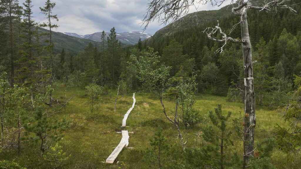 Turvei til Stavassgården