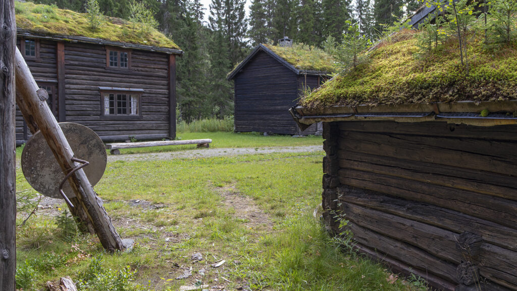 Grane bygdetun utendørs på sommeren