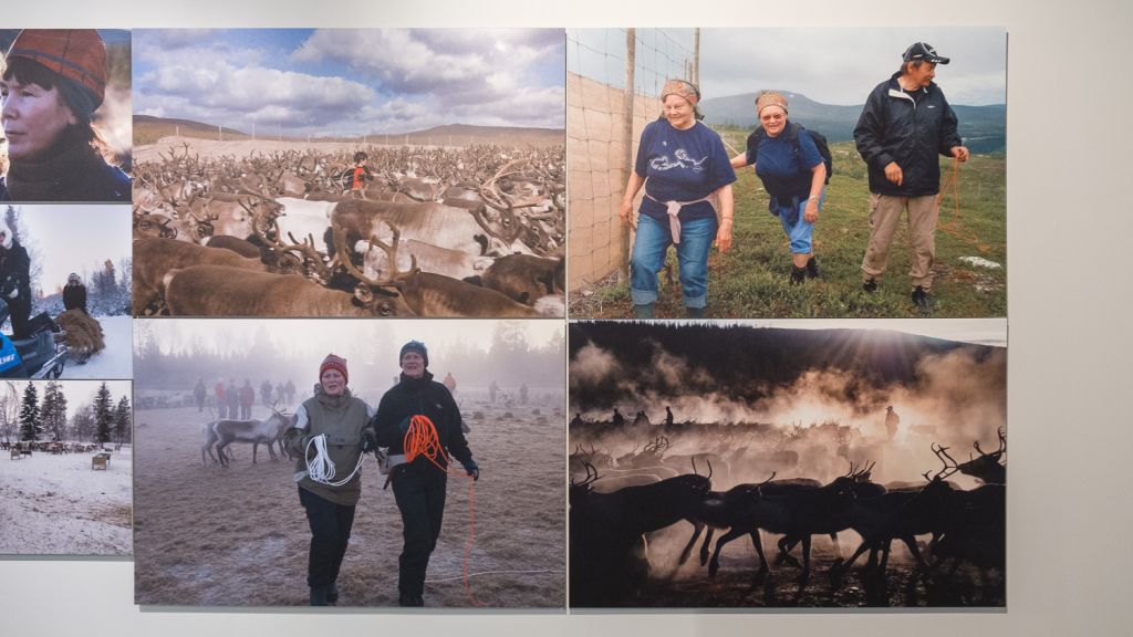 Bildevegg med fotoutstilling om samiske reindriftskvinner på Rana Museum