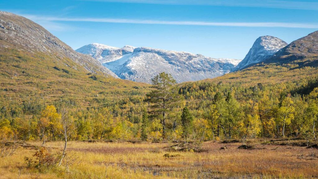 Utsikten innover Simskardet fra stien på Simskardrunden, med myr, furu og høstgul bjørkeskog i forgrunnen