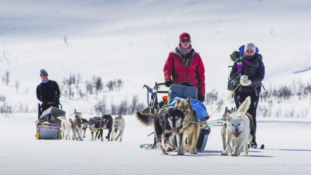 Summer Tours Archives - Guided River Trips, Hiking and Dog Sledding