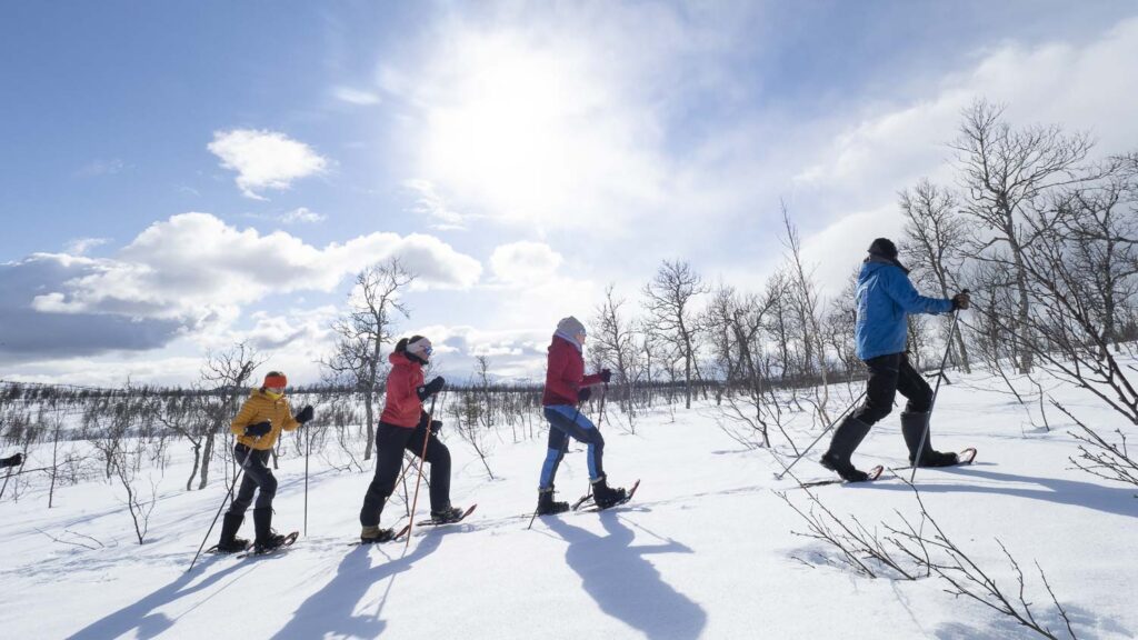 Guided snowshoe trip from Mosjøen - Visit Helgeland