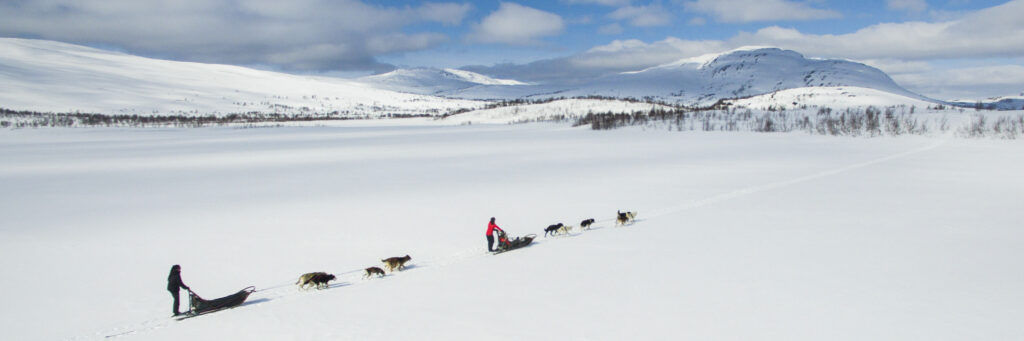 To hundespann med førere på vei gjennom vinterfjellene en fin vinterdag