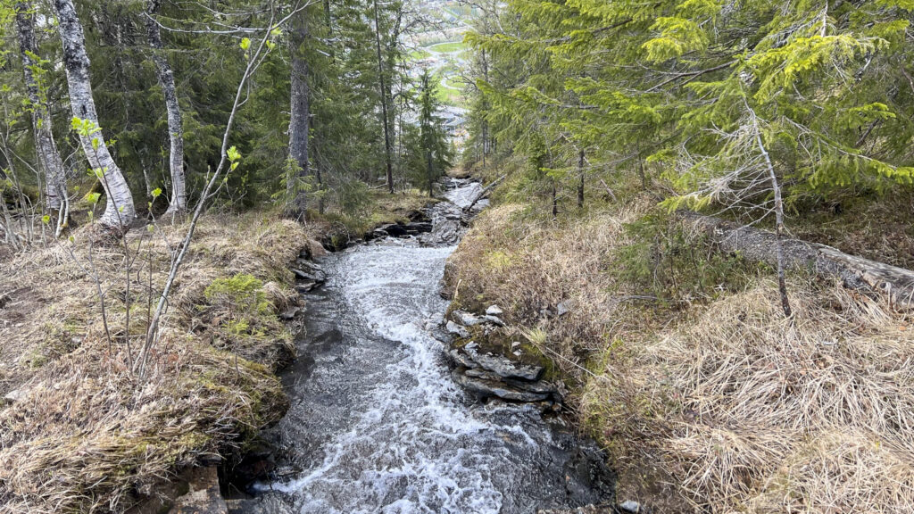 bilde av appelsinhaugen og grotneshytta