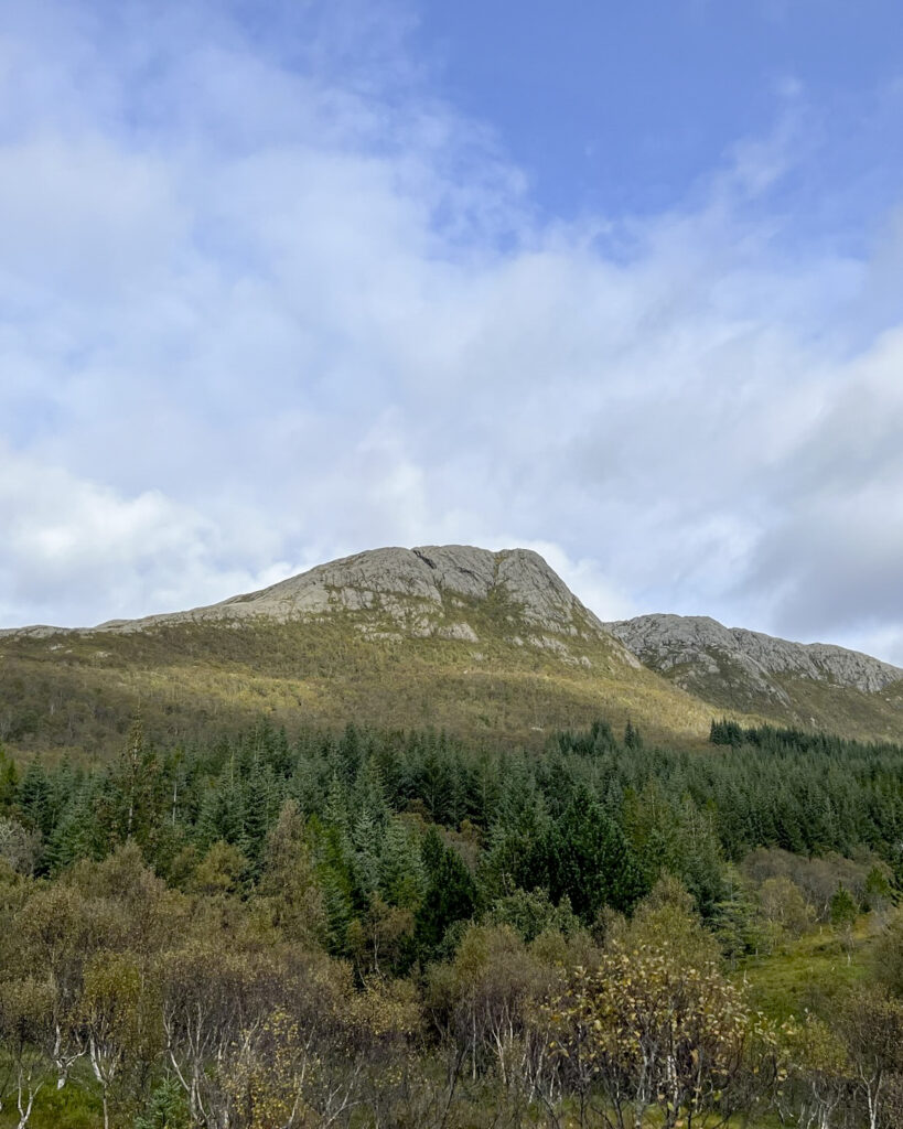 Bildet av tonnesfjellet med skog i front