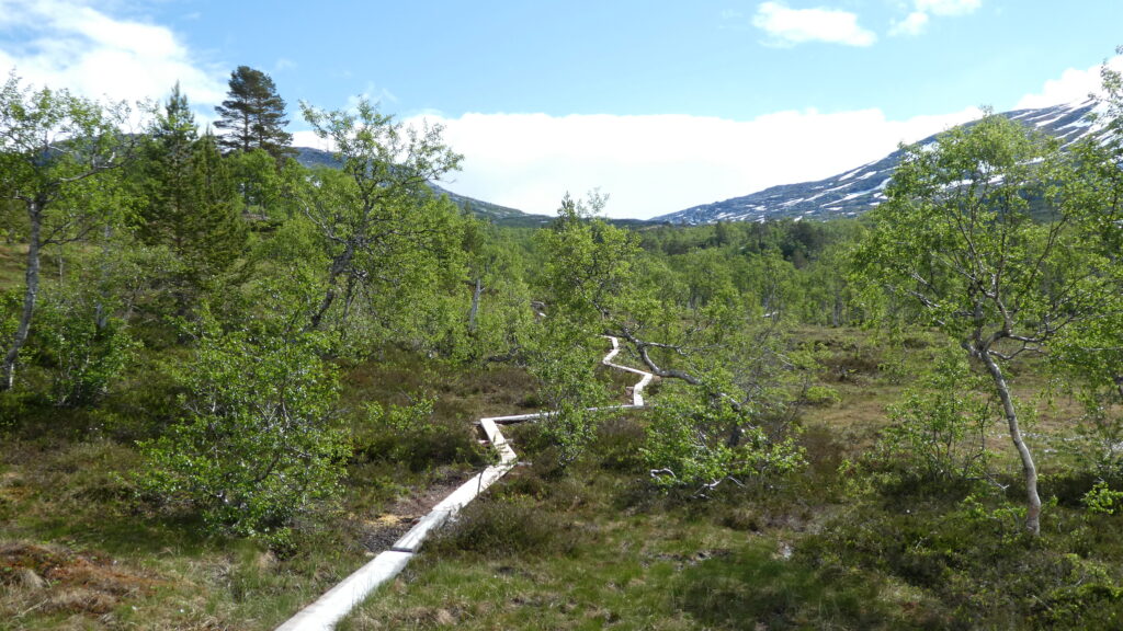 Tur til Kvigtinden i Børgefjell