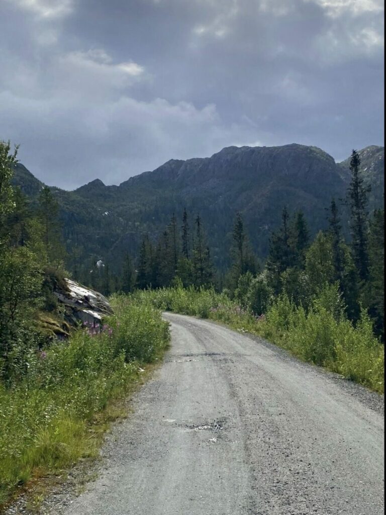 Den lett fremkommelige veien til Forslandsdalen