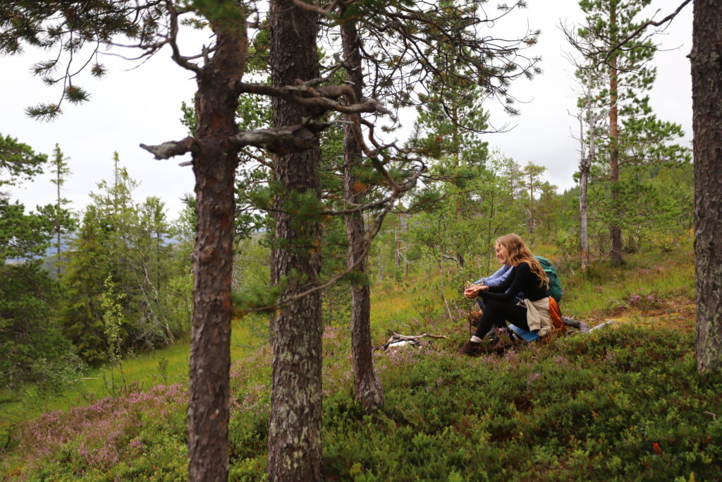 Pause på tur til Pilfjellet