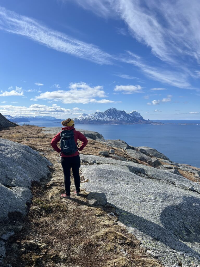 Turbeskrivelse Himmelbærsteinen