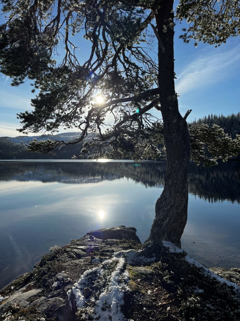 Langvatnet Trofors