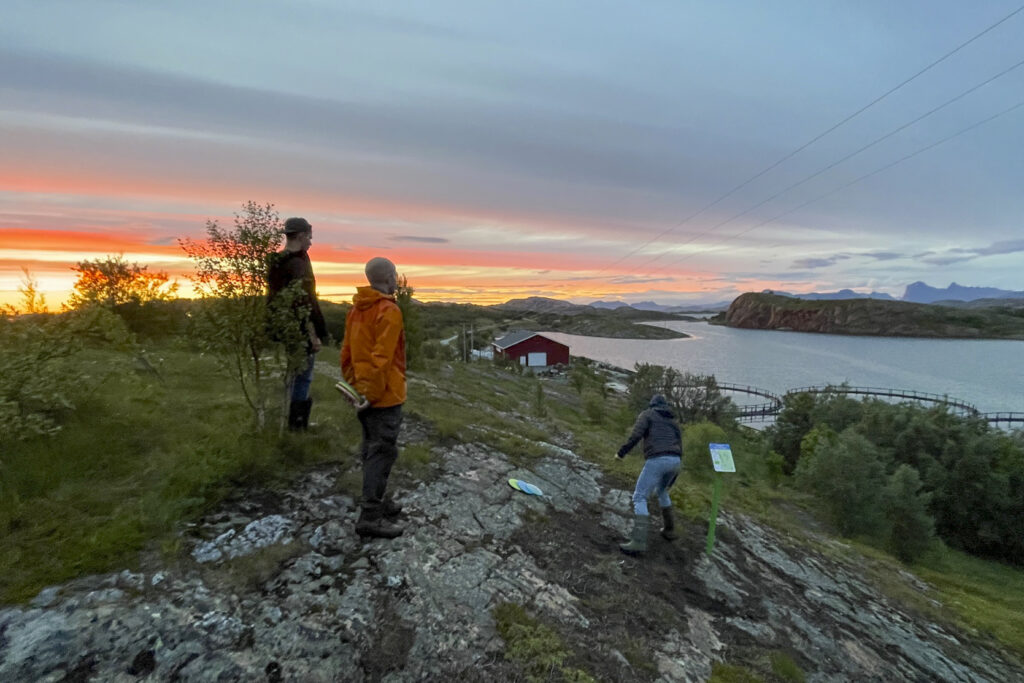 Tre venner spiller discgolf ved Selsøyvik i Rødøy rundt solnedgang