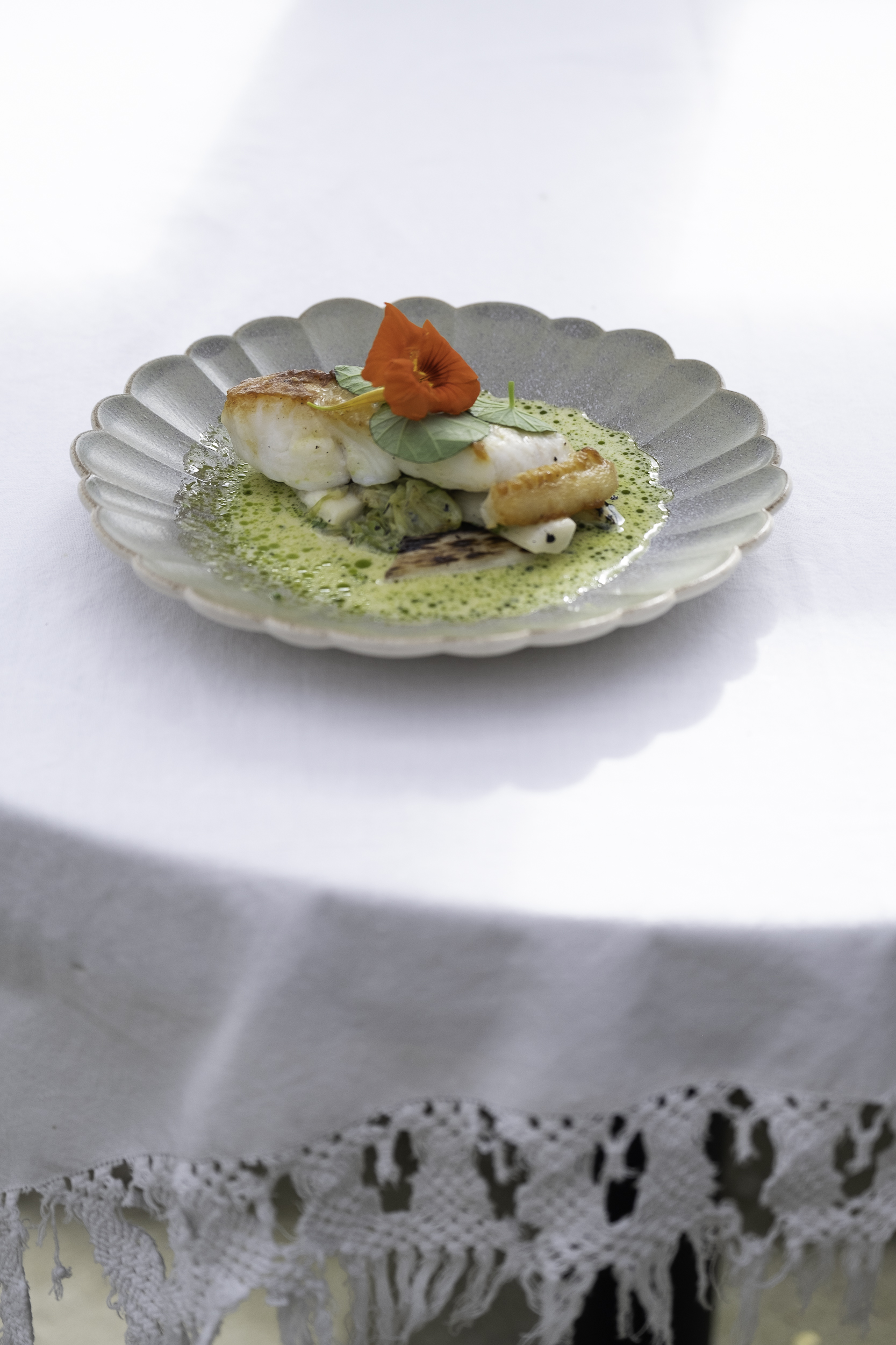 Oppskrift på piggvar fra Til Elise Fra Marius