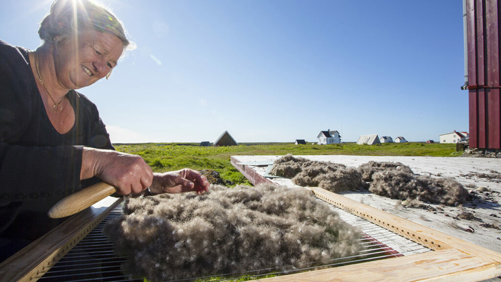 En fuglevokter renser ærfugldun en vakker sommerdag på dunværet Lånan